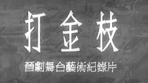 1955年晋剧艺术片《打金枝》全剧MP4下载