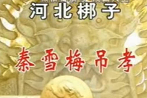 河北梆子《秦雪梅吊孝》全场戏.石家庄市赵县河北梆子剧团.王新格MP4视频下载
