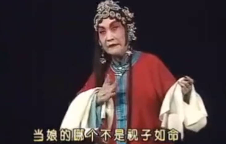 河北梆子《双错遗恨》选段：猛听的子奇儿将娘呼喊.张惠云MP4视频下载