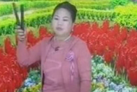 刘玲河南坠子《龙三姐拜寿》全集MP4视频下载