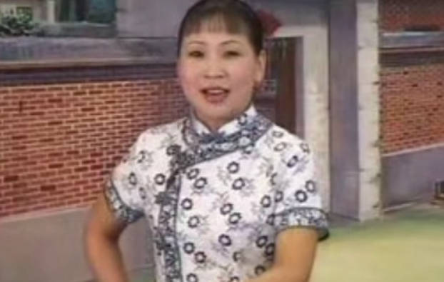 河南坠子《大姑娘妨女婿》全剧.胡中花MP4视频下载