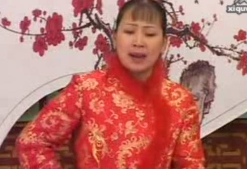 河南坠子《巧嘴倔老婆》全集.胡中花MP4视频下载