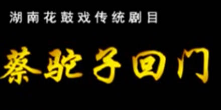 湖南花鼓戏《蔡驼子回门》全剧.刘松培,肖丽君,徐爱群MP4视频下载