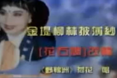 湖南花鼓戏《野鸭洲》选段 :金堤杨柳披薄纱.刘赵黔 .MP4视频下载
