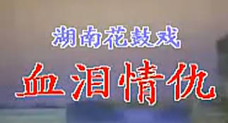 湖南花鼓戏《血泪情仇》全剧.周春桃MP4视频下载