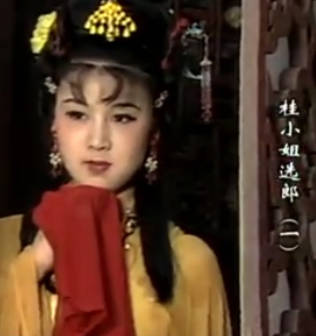 黄梅戏《桂小姐选郎》全剧.韩再芬、汪静(1988年)MP4视频下载