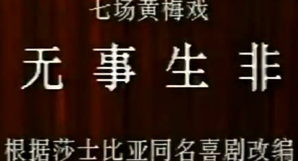 黄梅戏《无事生非》全剧.马兰、吴琼、黄新德(1986年)MP4视频下载