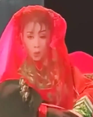 黄梅戏《徽州女人》选段:我郎本是五尺汉.韩再芬MP4视频下载