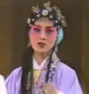 黄梅戏《罗帕记》选段:逐女.马兰MP4视频下载