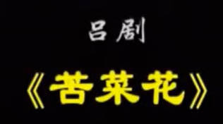 吕剧《苦菜花》全剧.中国戏曲学院演出.李艳华 郑聪 李兴MP4视频下载