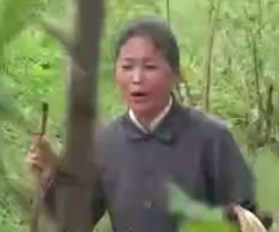 民间小调《多子多福娘受苦》第4集.许美勤 任广林 姚艳华 赵致富 张丽MP4视频下载