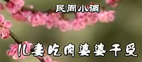 民间小调《儿妻吃肉婆婆干受》全集.孙凤兰 郭思杰 荆献刚MP4视频下载