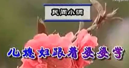 民间小调《儿媳妇跟着婆婆学》下集.刘素侠 薛小春 田明军 孟献立MP4视频下载