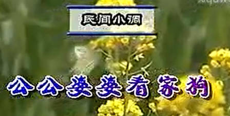 民间小调《公公婆婆看家狗》下集.荆献鼎 张丽 张芳MP4视频下载