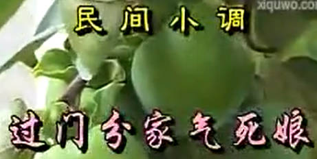 民间小调《过门分家气死娘》全集.荆丽君 MP4视频下载