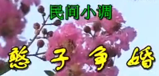 民间小调《憨子争婚》全集.丁延果MP4视频下载