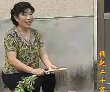 民间小调《祸起二十万》第3集MP4视频下载