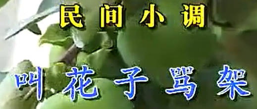 民间小调《叫花子骂架》下集.荆献刚 荆丽君MP4视频下载