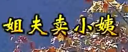 民间小调《姐夫卖小姨》下集.荆献顺 张影 刘美MP4视频下载