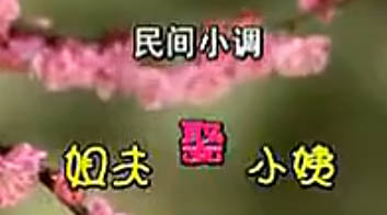 民间小调《姐夫娶小姨》全集.MP4视频下载