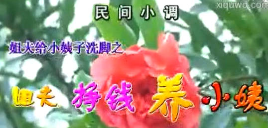 民间小调《姐夫赚钱养小姨》下集.夏金花 荆献顺 张影MP4视频下载