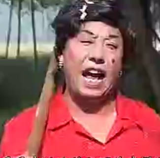 民间小调《母老虎骂街》上集.MP4视频下载
