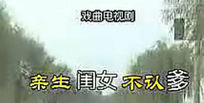 民间小调《亲生闺女不认爹》全集.刘晓燕 薄战士 王娟 王艺欢MP4视频下载