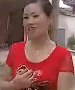 民间小调《傻男人戏靓妹》全集.刘晓燕MP4视频下载
