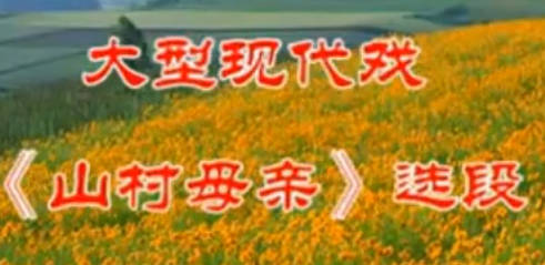 蒲剧《山村母亲》选段.柴海鹰.MP4视频下载
