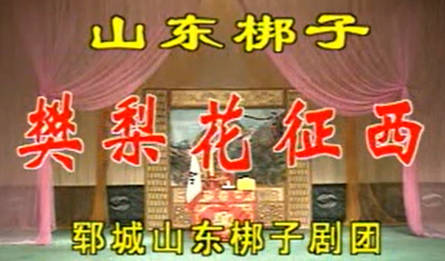 山东梆子《樊梨花征西》下集.郓城山东梆子剧团.陈凤英 吕端勇 祝凤晨MP4视频下载
