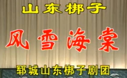山东梆子《风雪海棠》下集.郓城山东梆子剧团.陈凤英  刘太华 朱凤晨MP4视频下载