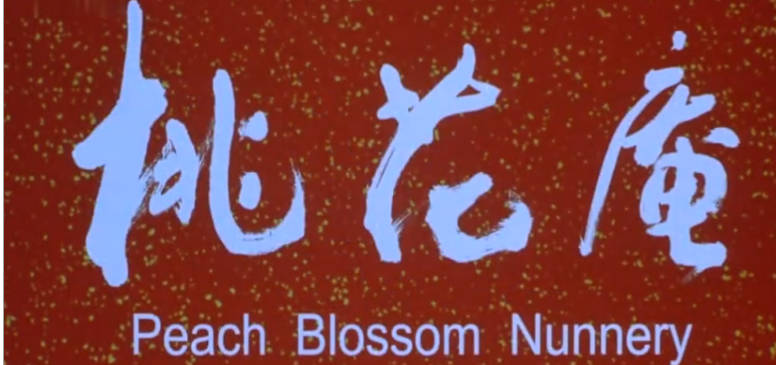 豫剧电影《桃花庵》全剧.苗文华MP4视频下载