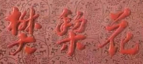 豫剧电影整本《樊梨花》全剧.李莉 金宏 刘万云 薛金荣 陈运MP4视频下载