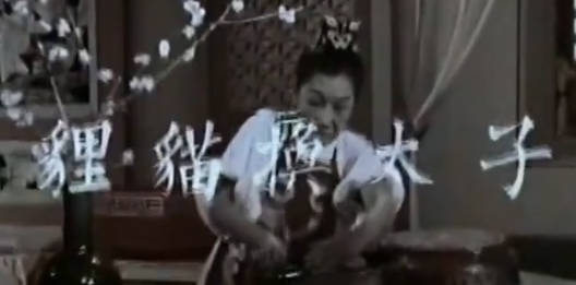 粤剧电影《貍貓換太子》全剧.任劍輝 吳君麗 鳳凰女 靚次伯 劉克宣 林家聲 任冰兒(1956)MP4视频下载