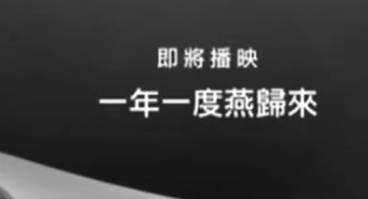粤剧电影《一年一度燕歸來》全剧.任劍輝 芳艷芬 蘇少棠(1958).MP4视频下载