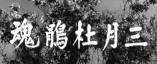 粤剧电影《三月杜鵑魂》全剧.任劍輝 文蘭 陳錦棠 李海泉 任冰兒(1959).MP4视频下载