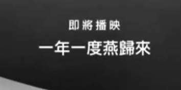 粤剧电影《一年一度燕歸來》全剧.任劍輝 芳艷芬 蘇少棠(1958)MP4视频下载