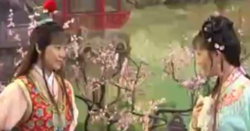 越剧《红楼梦》选段：读西厢-徐王.MP4视频下载