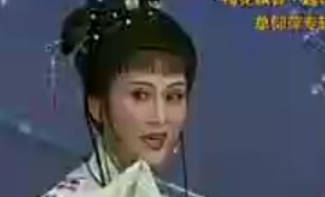 越剧《红楼梦》选段：葬花-王派.MP4视频下载