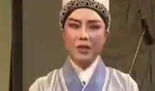 越剧《追鱼》选段：说什么姻缘本是前生定.金美芳.MP4视频下载