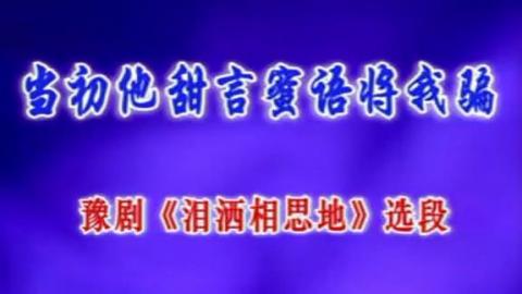 豫剧《泪洒相思地》选段：当初他甜言蜜语将我骗（卡拉OK版）视频下载[MPG]