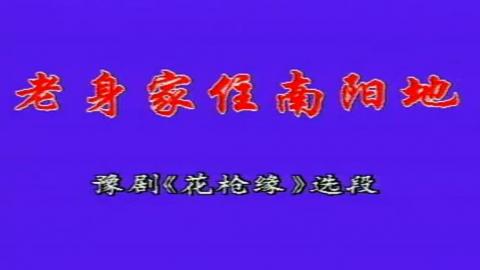 豫剧《对花枪》选段：老身家住南阳地（卡拉OK版）视频下载[MPG]