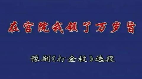 豫剧《打金枝》选段：在宫院我领了万岁旨意（卡拉OK版）视频下载[MPG]