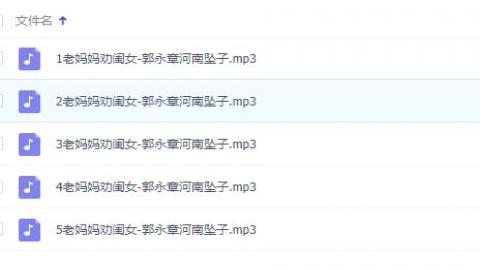郭永章河南坠子《老妈妈劝闺女》全5集MP3打包下载