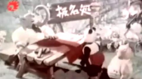 1960年中国原创经典国产动画片《大奖章》全集MP4下载