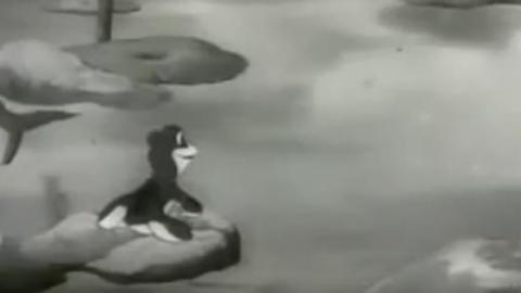1954年动画片《夸口的青蛙》全集MP4下载