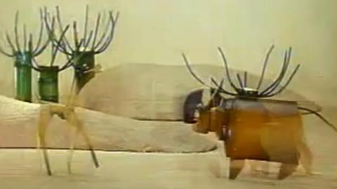 经典国产动画片《鹿和牛》视频MP4下载