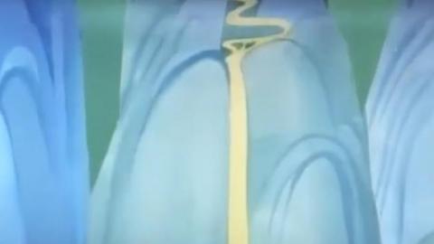 1988年国产经典老动画片《泼水节的传说》MP4下载