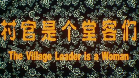 2008年湖南花鼓戏电影《村官是个堂客们》全集MP4下载