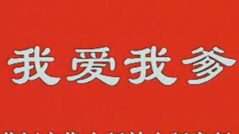 1999年豫剧电影《我爱我爹》全集MP4下载（任宏恩）